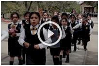 Video Institucional