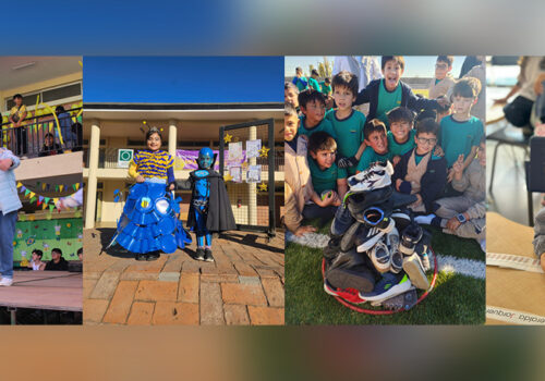 banner-6