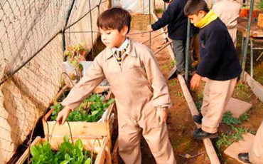 Diario El Mercurio destaca conciencia ecológica del Colegio Nocedal