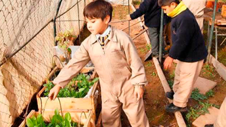 Diario El Mercurio destaca conciencia ecológica del Colegio Nocedal