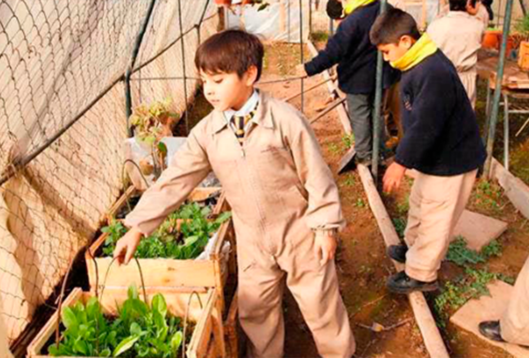 Diario El Mercurio destaca conciencia ecológica del Colegio Nocedal